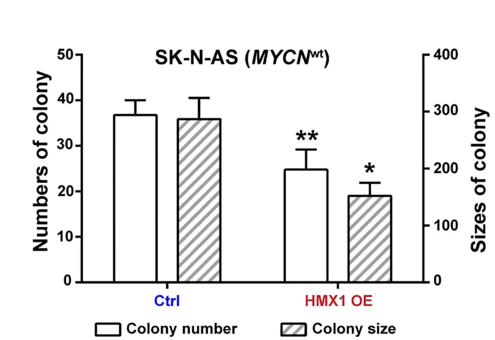 Open access visualization of Bar Plot, Error Bars, Clustered, Colony Number, Colony Size