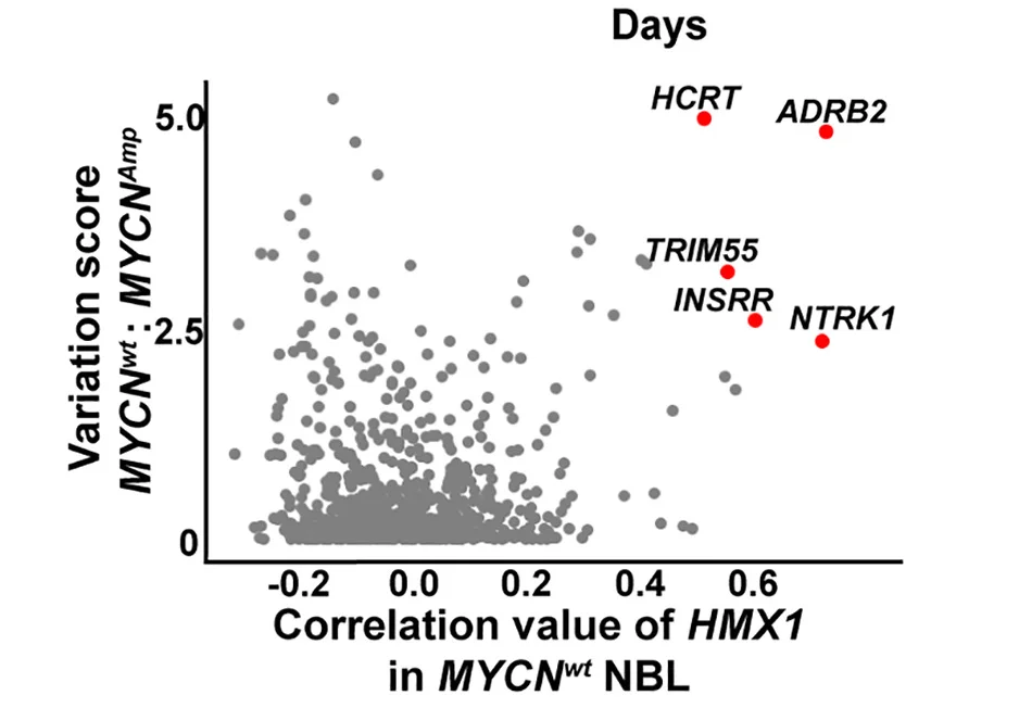 Open access visualization of Scatter Plot, Volcano Plot, Scatterplot, Gene Variability, HMX1