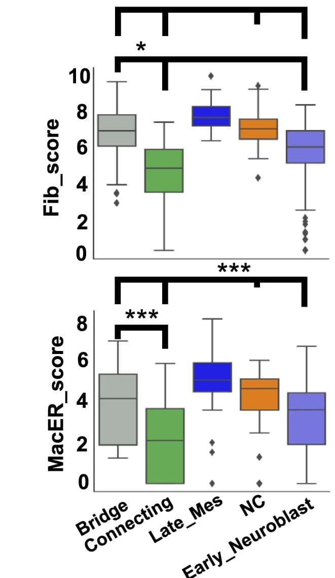 Open access visualization of Box Plot, Boxplot, Enrichment Score, CAFs, TAMs