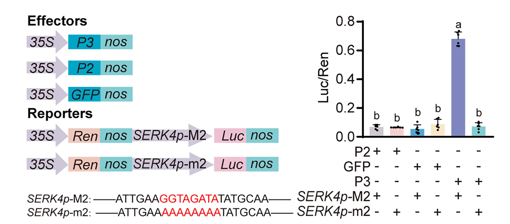 Open access visualization of Bar Plot, Error Bars, Illustration, Dual Luciferase Assay, N. benthemiana