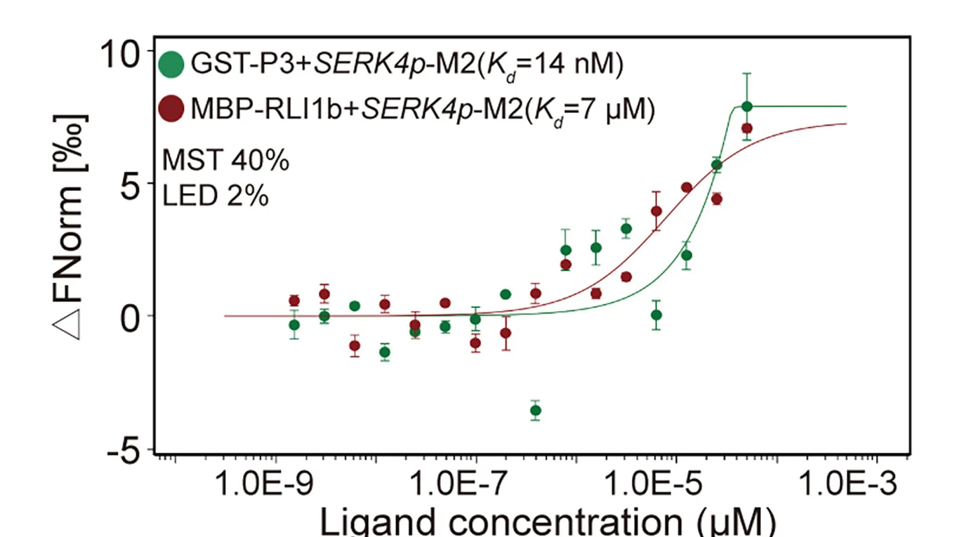 Open access visualization of Scatter Plot, Error Bars, Line Plot, MST Assay, P3 Protein