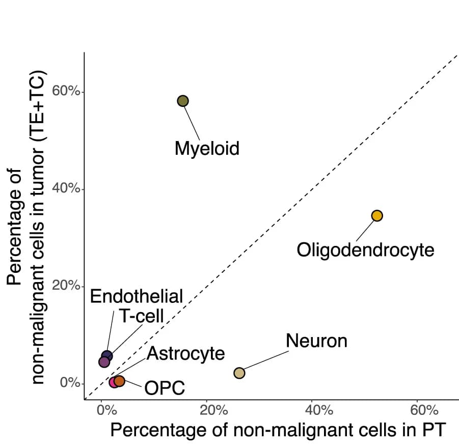 Open access visualization of Scatter Plot, Non-Malignant Cell Types, Percentage, Tumor Bulk