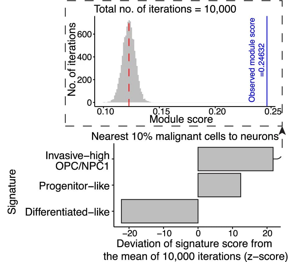 Open access visualization of Histogram, Bar Plot, Malignant Cell State, Signature Expression, Neurons