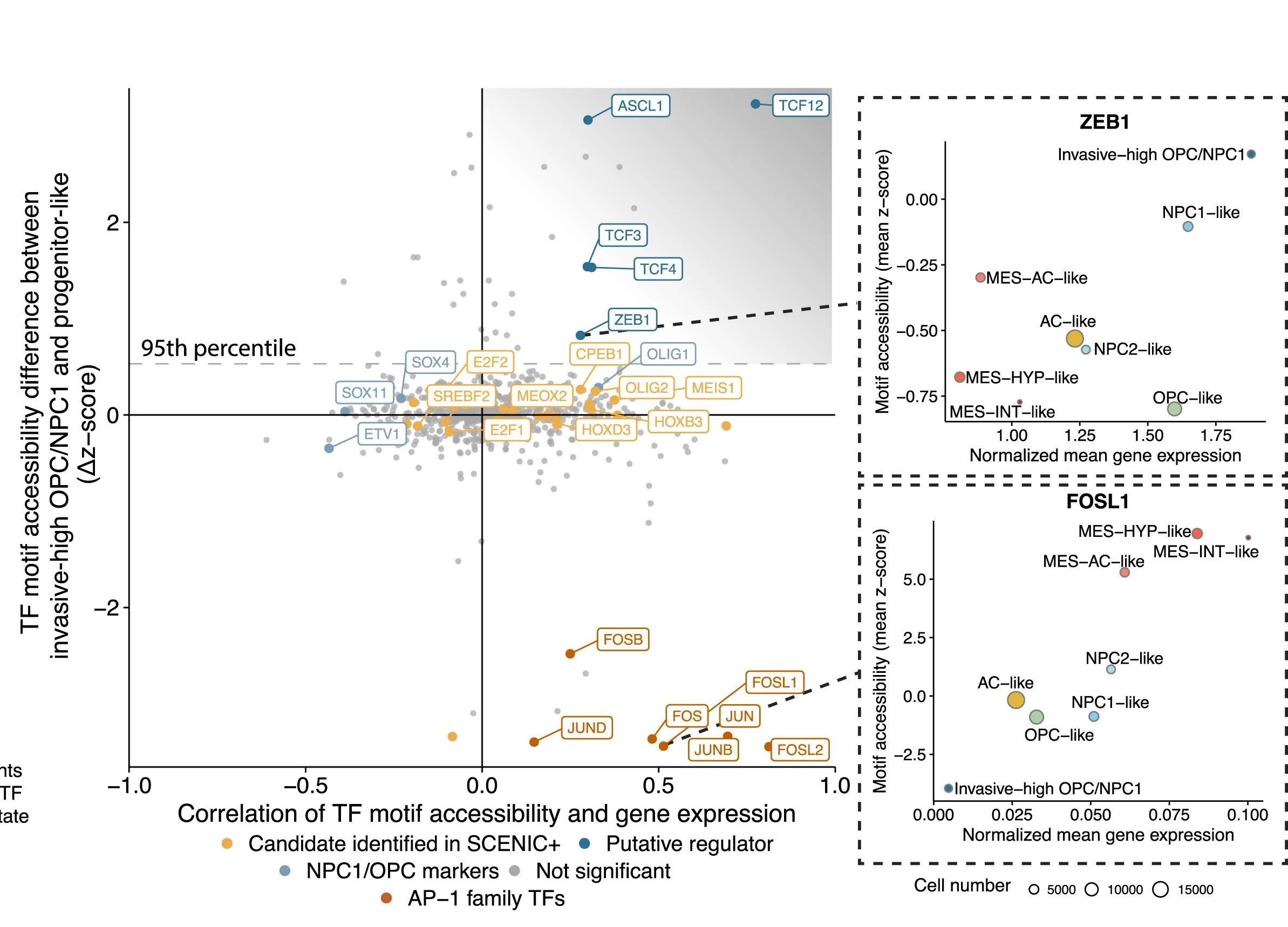 Open access visualization of Scatter Plot, Bubble Plot, Volcano Plot, Transcription Factor Binding Site, Accessibility