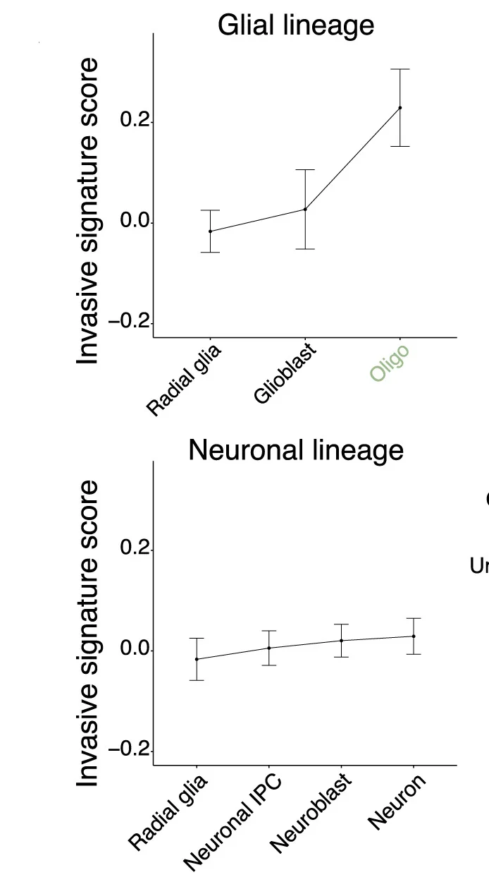 Open access visualization of Line Plot, Error Bars, GBM Invasive Signature Score, Glial Lineage, Neuronal Lineage
