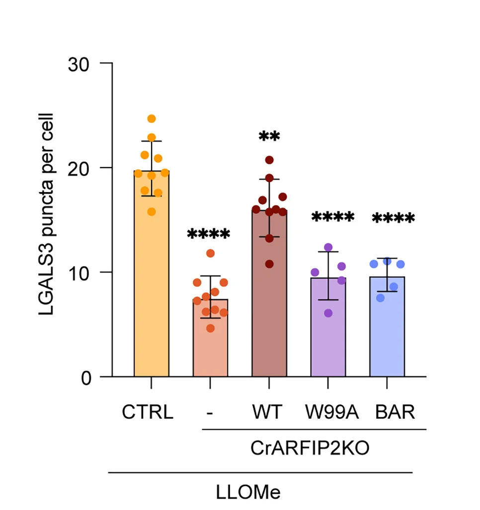 Open access visualization of Bar Plot, Error Bars, Scatter Plot, Quantification, Control Cells