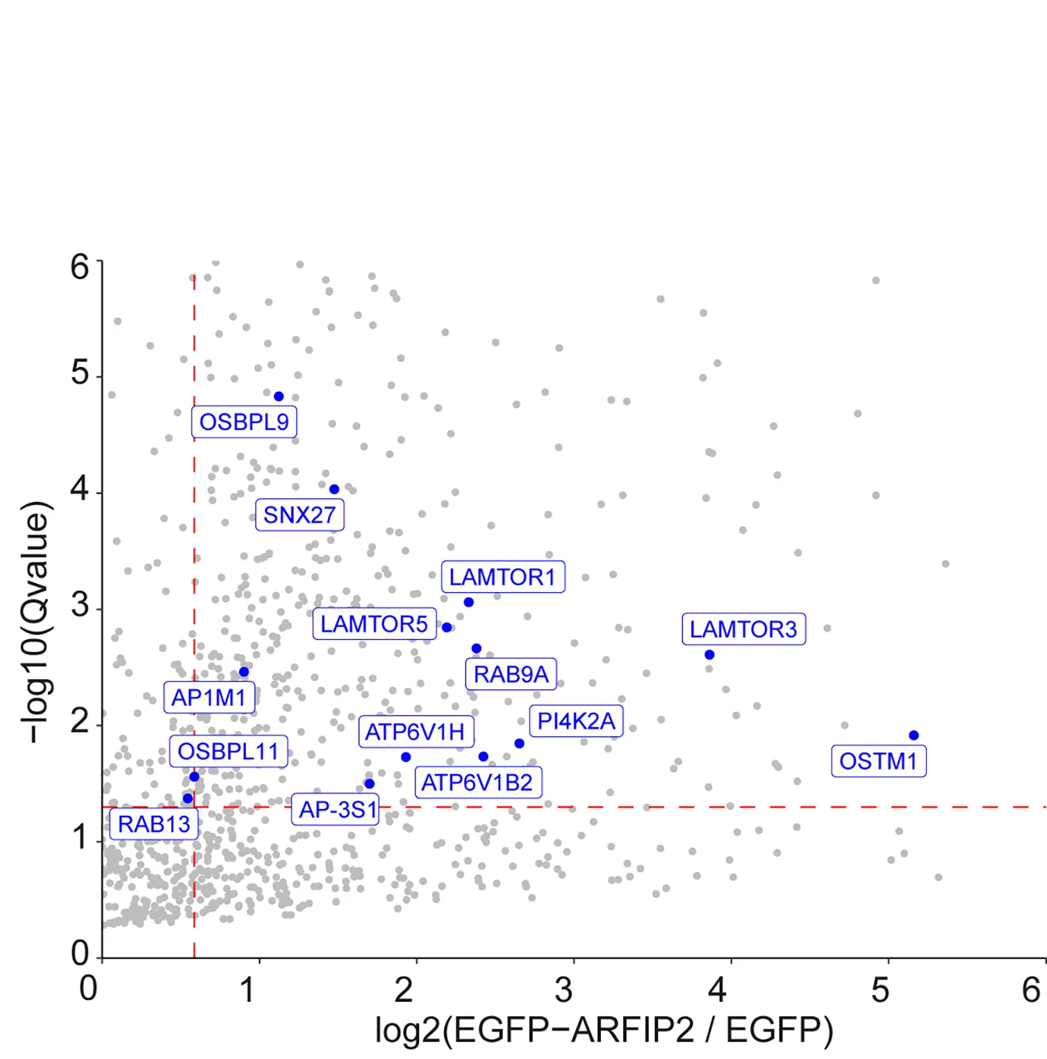 Open access visualization of Scatter Plot, Volcano Plot, Mass Spectrometry, GFP-trap, CrARFIP2KO Cells