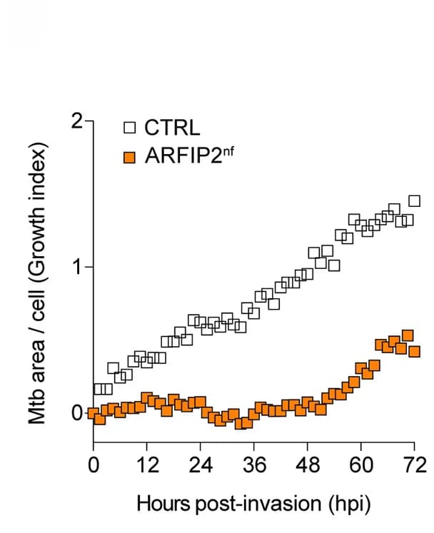 Open access visualization of Scatter Plot, Mycobacterium Tuberculosis, HMDM, ARFIP2, Replication
