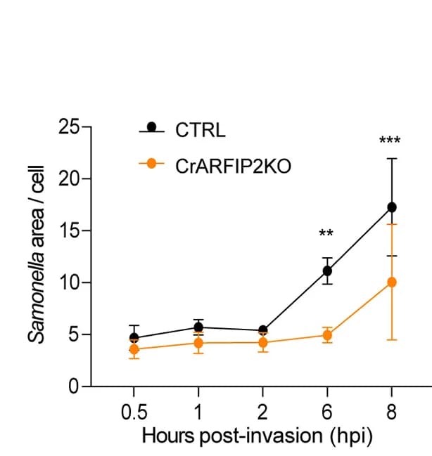 Open access visualization of Line Plot, Error Bars, Salmonella, Growth