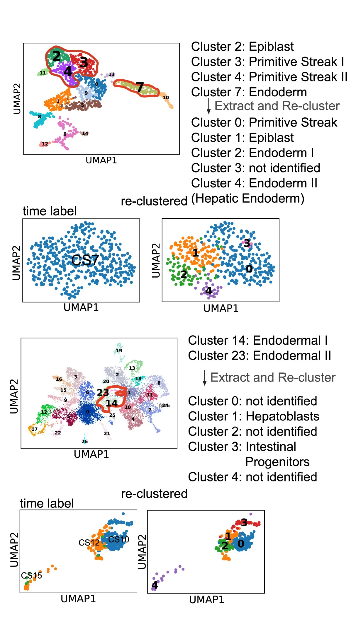 Open access visualization of UMAP, Scatter Plot, CS7, CS10, CS12