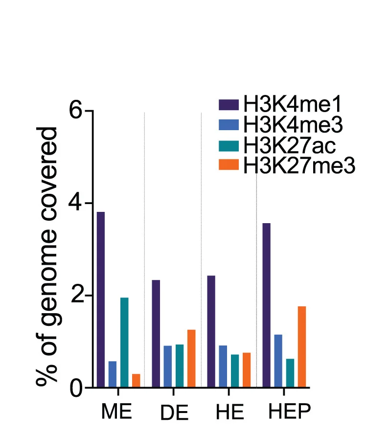 Open access visualization of Bar Plot, Clustered, Histone Modifications, ChIP-seq, Mesendoderm