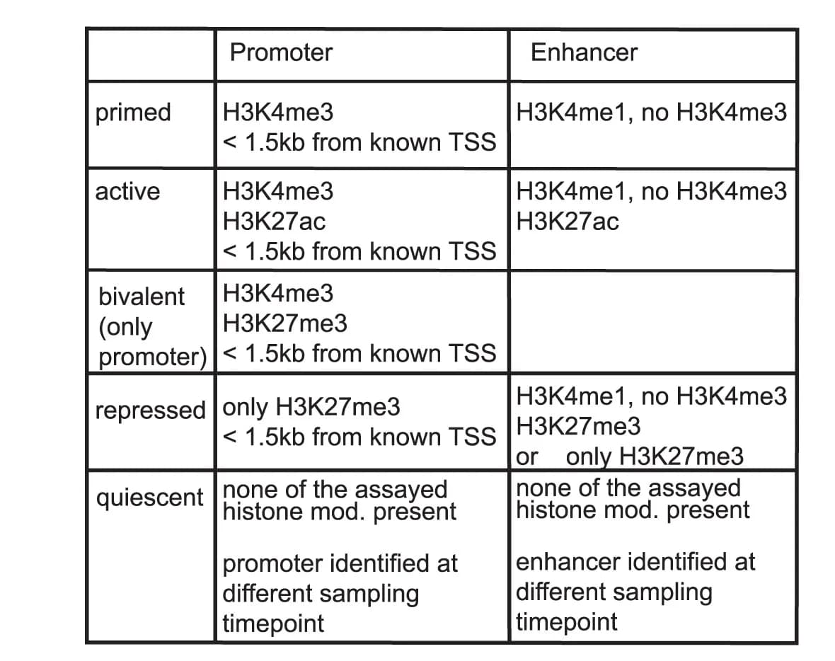 Open access visualization of Table Image, Histone Modifications, Promoters, Enhancers, Activation Status