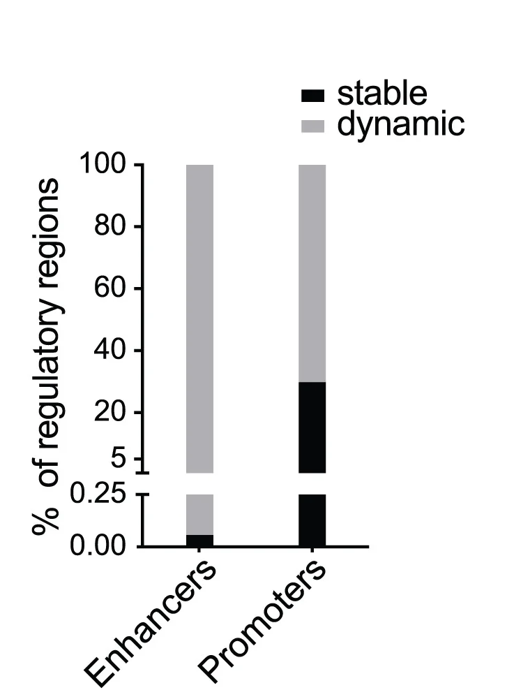 Open access visualization of Stacked Bar Plot, Enhancers, Promoters, Activation State, Hepatic Differentiation