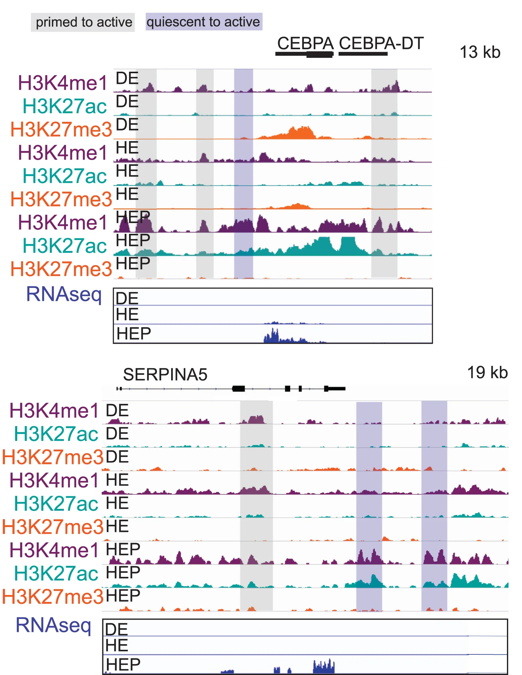 Open access visualization of Line Plot, Primed-to-active Enhancers, Quiescent-to-active Enhancers, RNA-seq, Expression