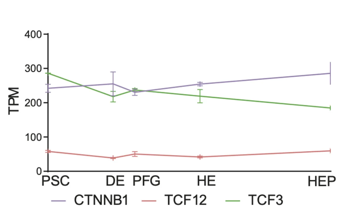Open access visualization of Line Plot, Error Bars, Expression Level, CTNNB1, TCF12