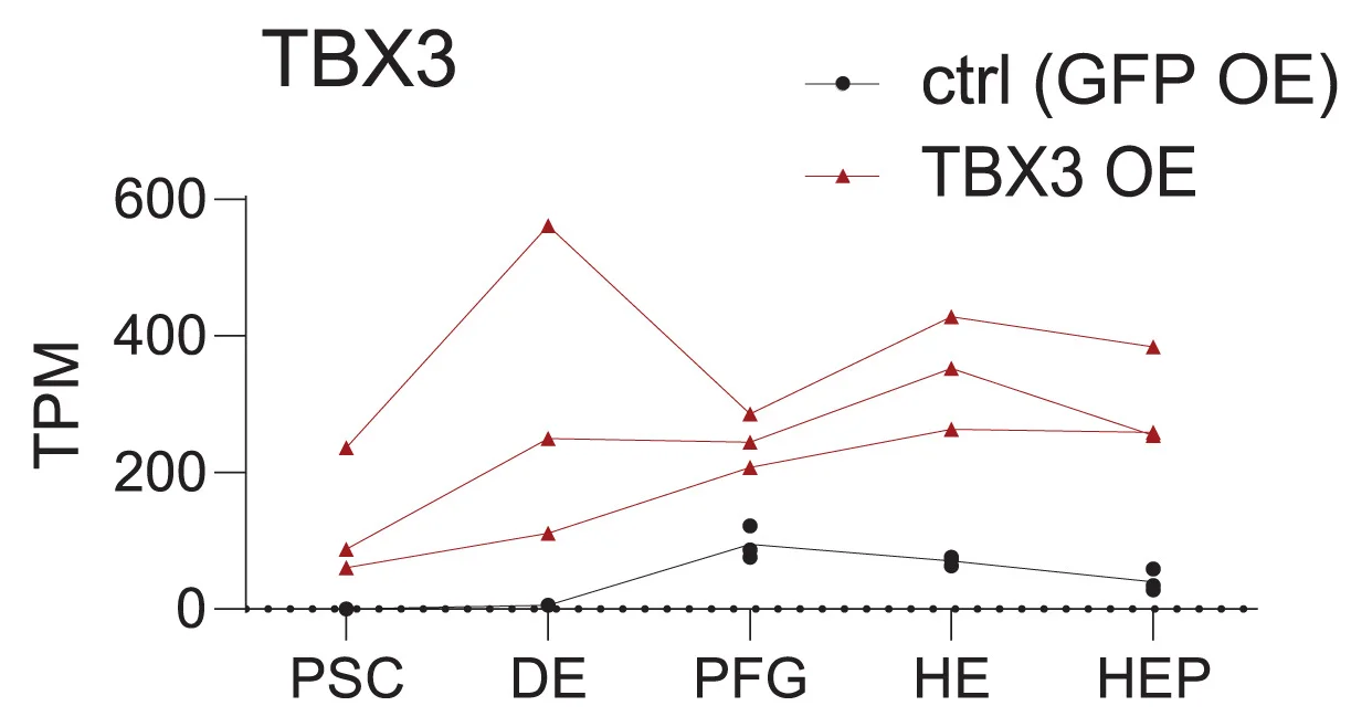 Open access visualization of Line Plot, Scatter Plot, TBX3, RNA-seq, GFP