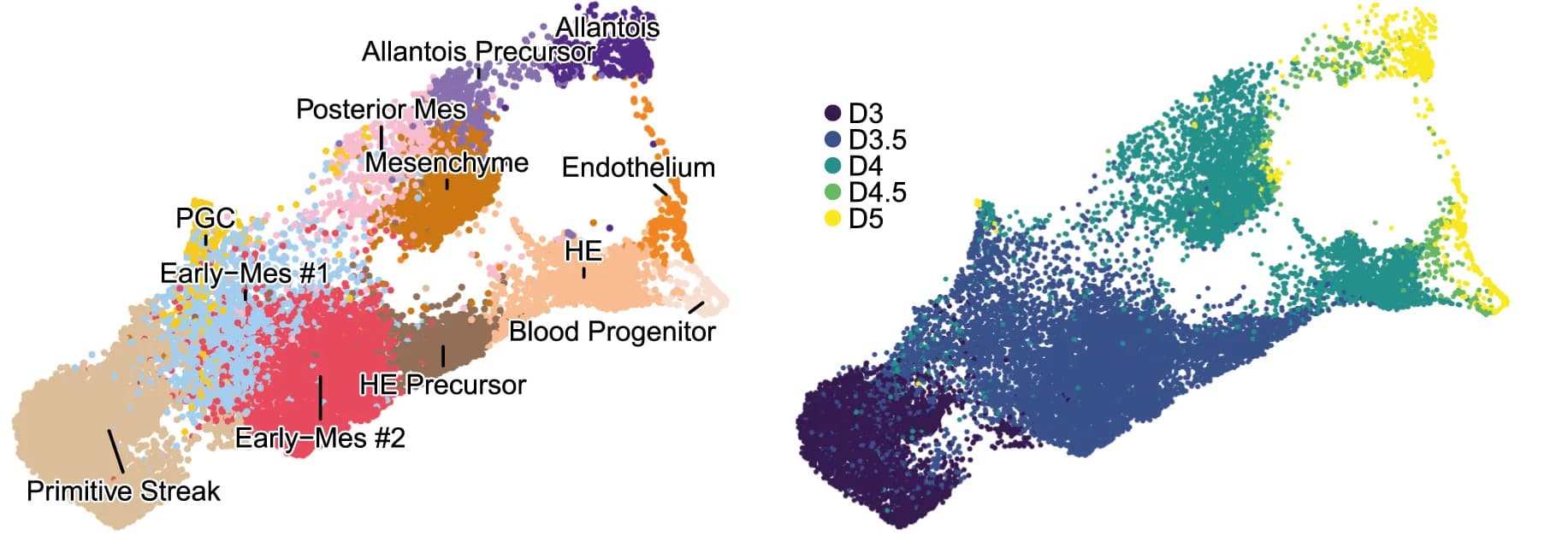 Open access visualization of Scatter Plot, UMAP, PCA, scRNA-seq, scATAC-seq