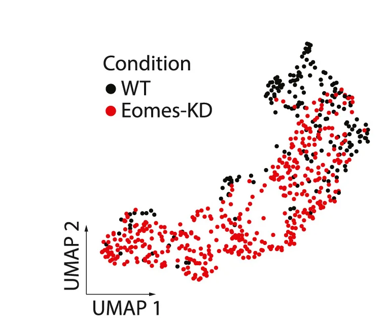 Open access visualization of Scatter Plot, UMAP, Endothelium, EB Culture