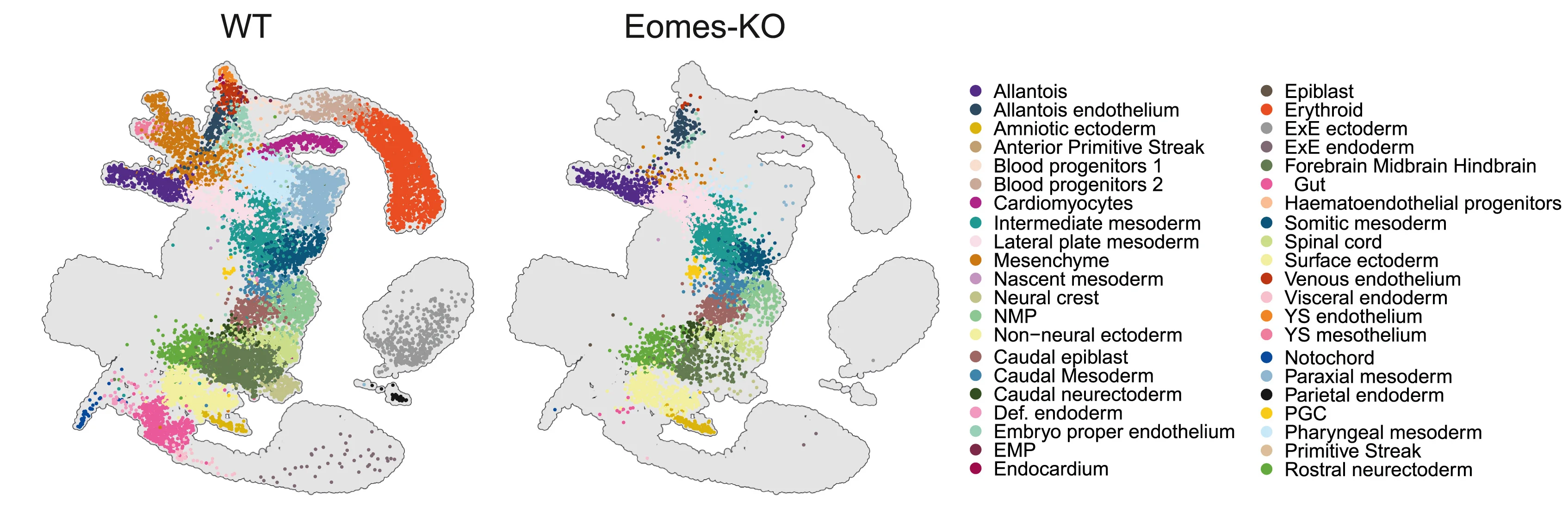 Open access visualization of Scatter Plot, UMAP, PCA, Chimera-seq, WT Cells