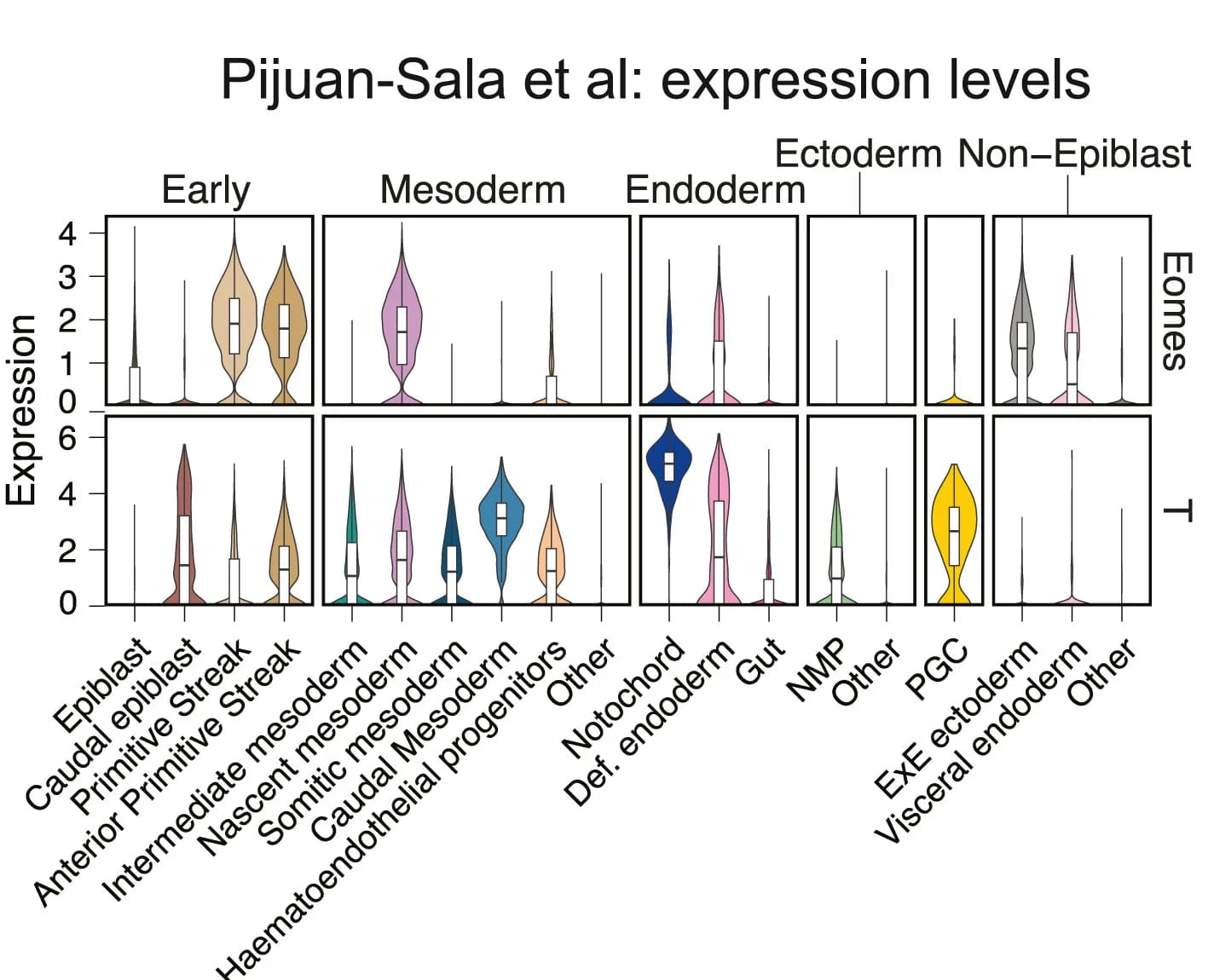 Open access visualization of Violin Plot, Box Plot, Violin Plots, Eomes, T