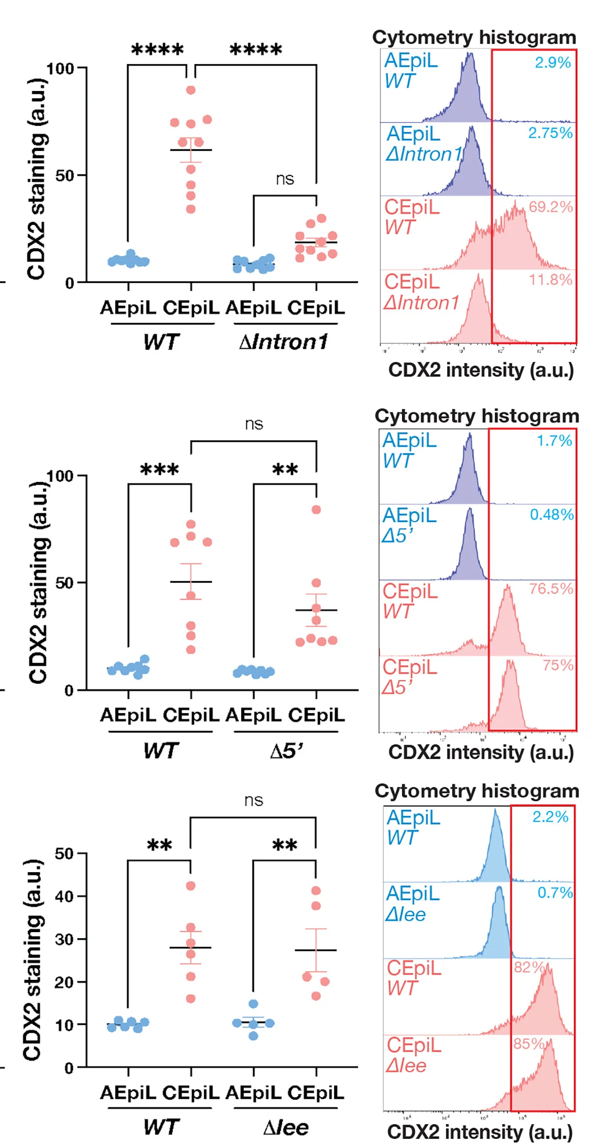 Open access visualization of Scatter Plot, Histogram, Flow Cytometry, CDX2 Levels, AEpiL Cells
