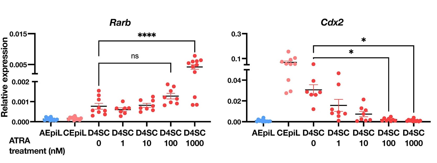 Open access visualization of Scatter Plot, Error Bars, Relative Expression, RT-qPCR, Rarb