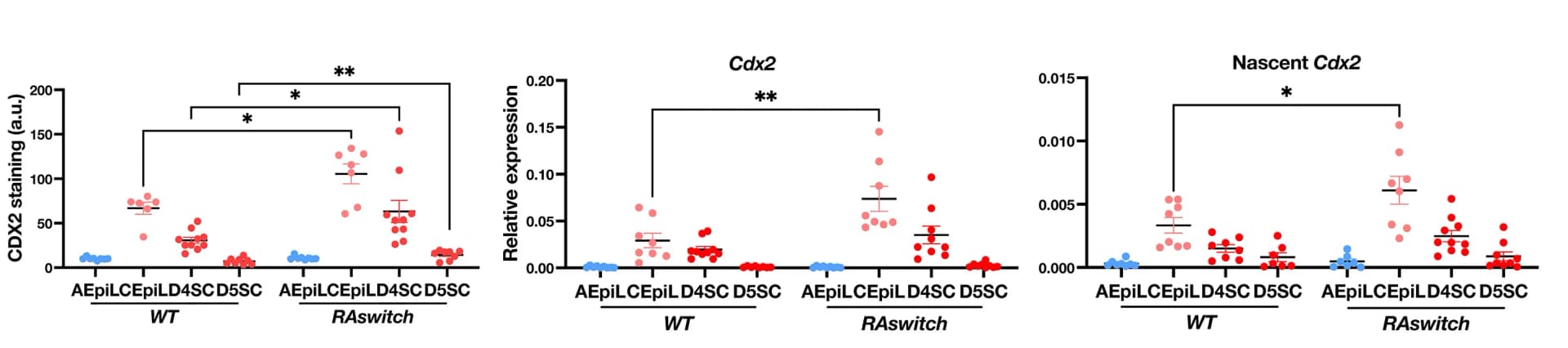 Open access visualization of Scatter Plot, Error Bars, CDX2 Levels, Flow Cytometry, RAswitch Cells