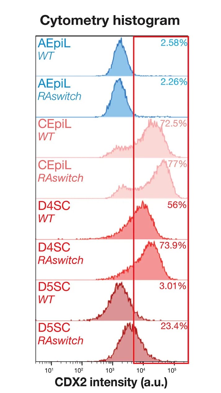 Open access visualization of Histogram, Flow Cytometry, CDX2