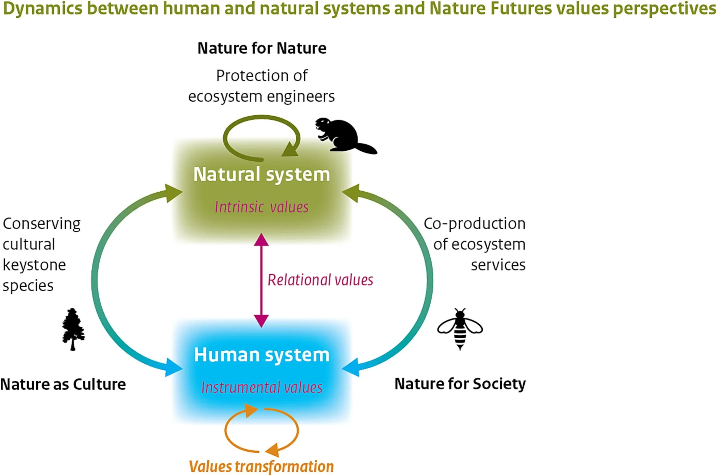 Open access visualization of Workflow, Illustration