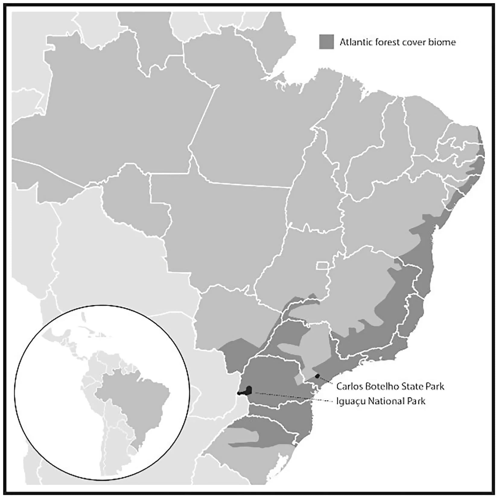 Open access visualization of Geo Map