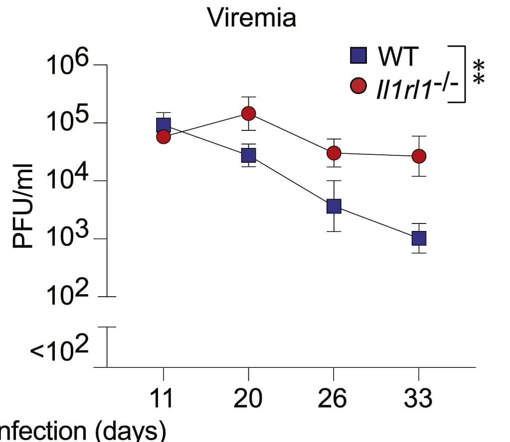 Open access visualization of Line Plot, Error Bars, WT Mice, Il1rl1−/− Mice, LCMV Cl13