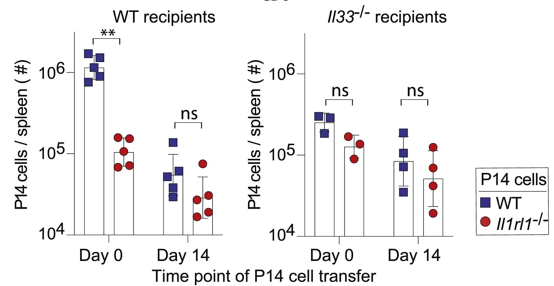 Open access visualization of Bar Plot, Error Bars, P14 WT Cells, P14Il1rl1−/− Cells, WT Mice