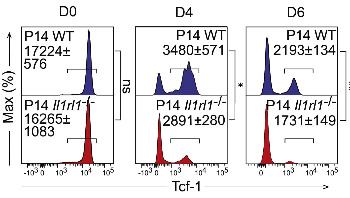 Open access visualization of Line Plot, Density Plot, Tcf-1 expression, P14 WT Cells, P14Il1rl1-/- Cells