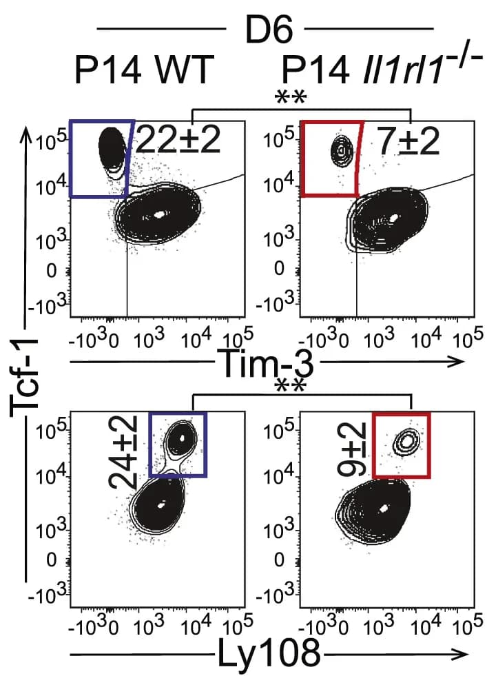 Open access visualization of Scatter Plot, FACS plots, Flow Cytometry, Mean, Standard Deviation