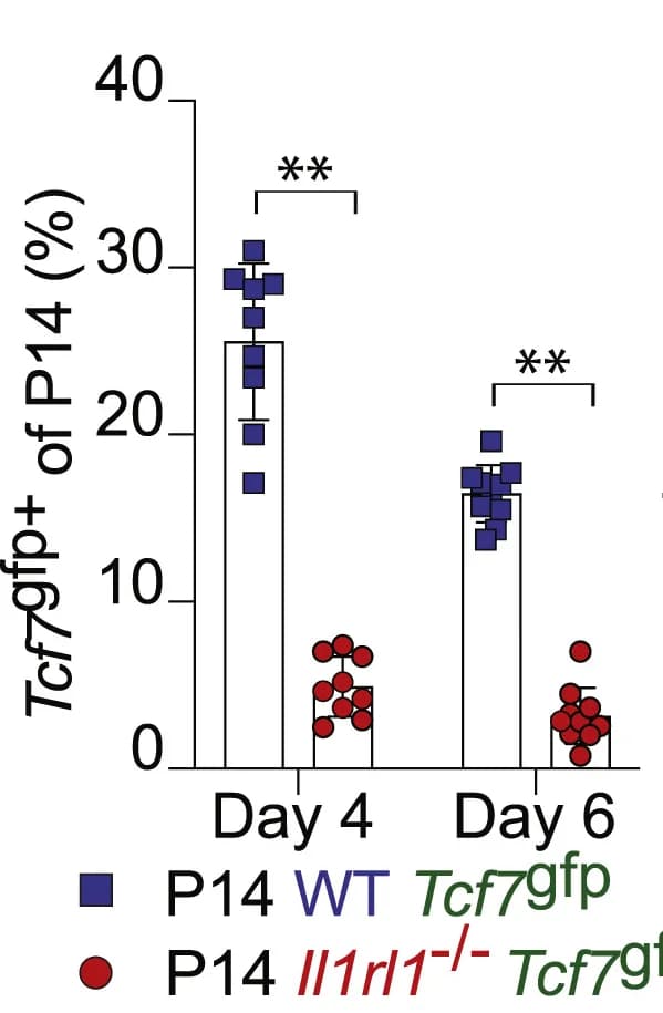 Open access visualization of Bar Plot, Error Bars, Scatter Plot, Gated Cells, Flow Cytometry