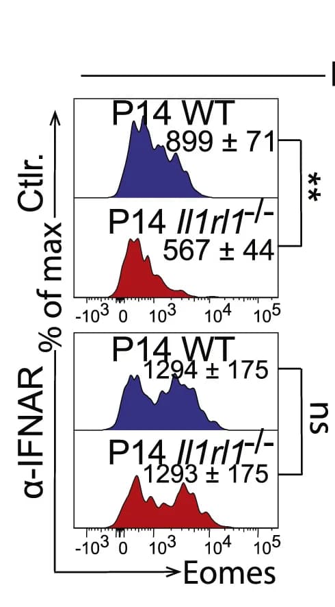 Open access visualization of Density Plot, Flow Cytometry, EOMES, Cells, Spleen