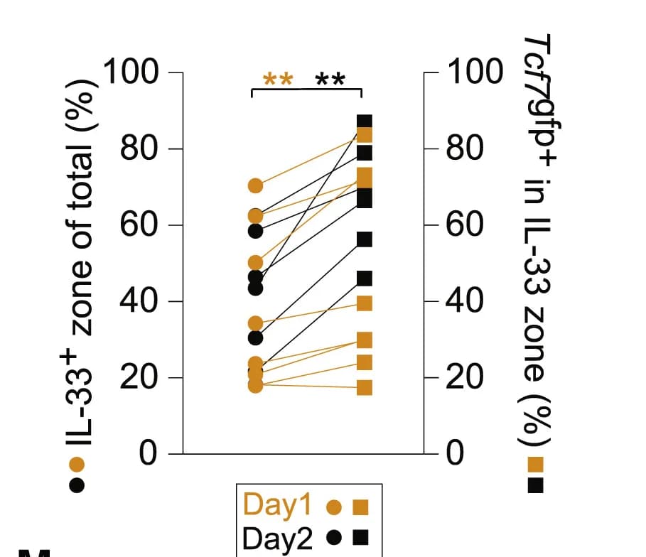 Open access visualization of Line Plot, Scatter Plot, Tissue, IL-33, Cells