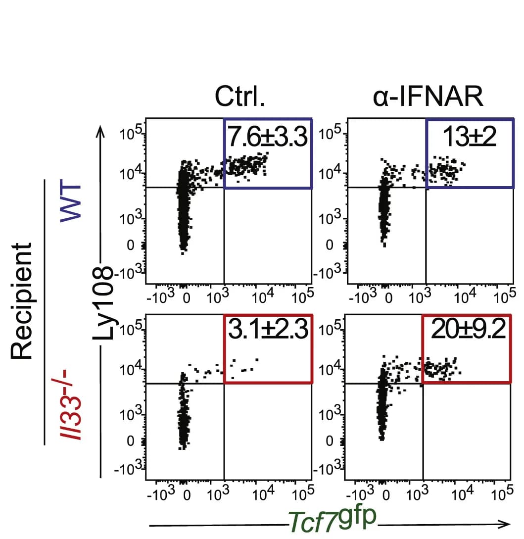 Open access visualization of Scatter Plot, FACS plots, Tcf7gfp, Ly108, P14 cells