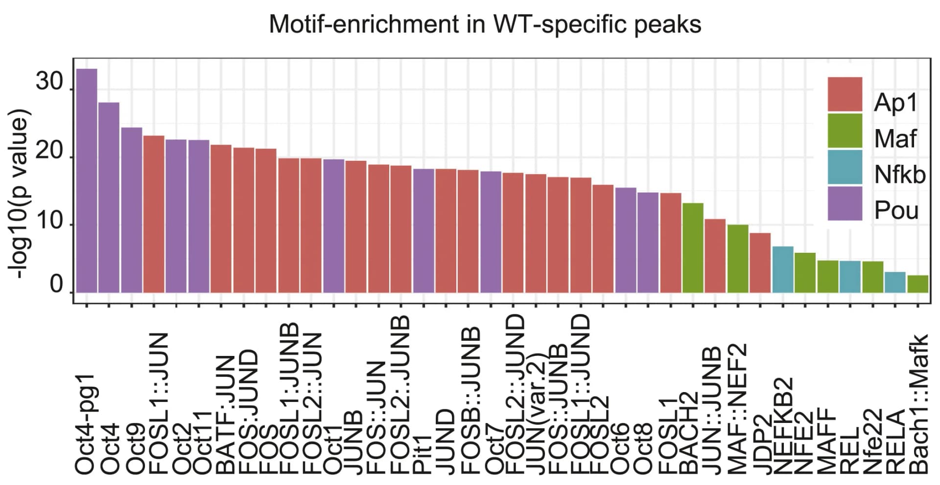 Open access visualization of Bar Plot, Transcription factor binding motifs, Peak regions, Tcf7gfp+ cells