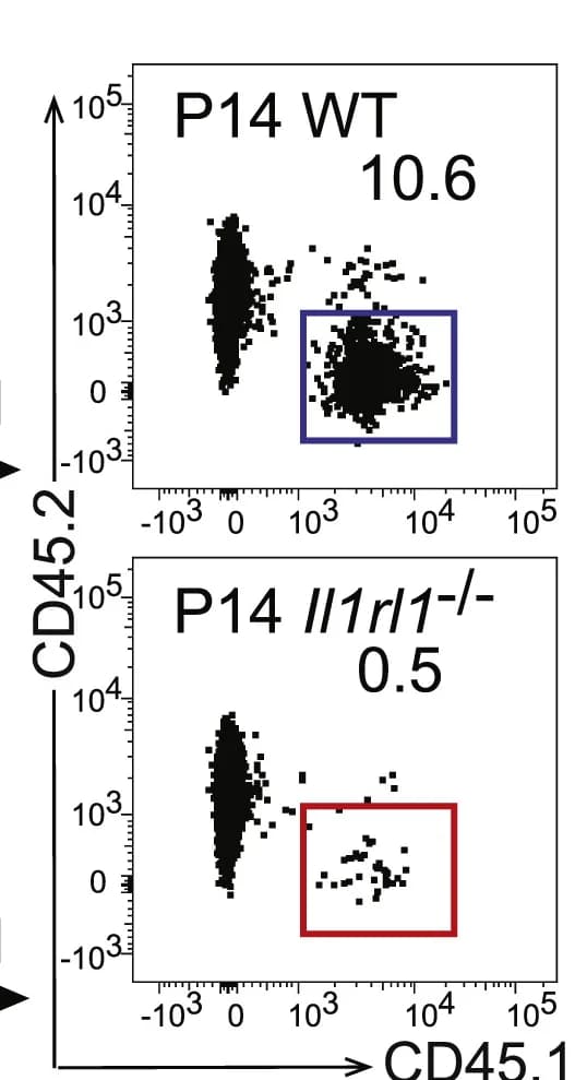 Open access visualization of Scatter Plot, FACS Plot, Transferred Cells, Gated Cells