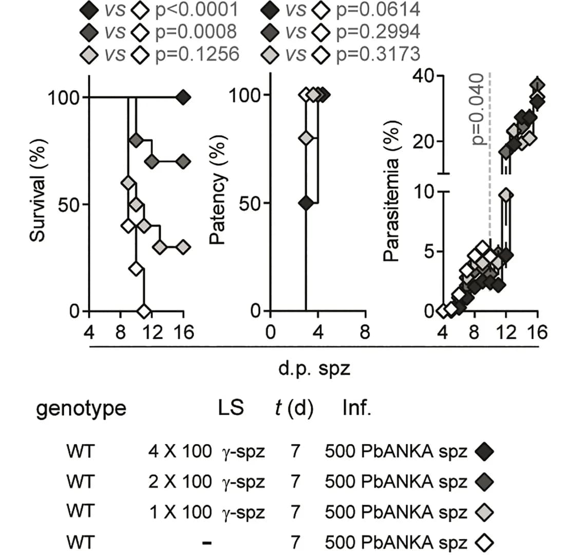 Open access visualization of Line Plot, Survival Curve, Scatter Plot, Survival, Patency