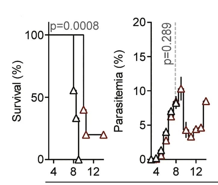 Open access visualization of Line Plot, Survival Curve, Error Bars, Line Step, Survival
