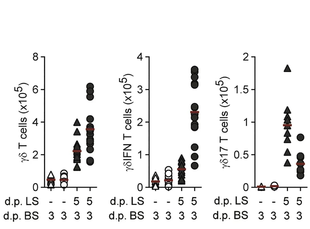 Open access visualization of Scatter Plot, γδ T cells, γδIFN T cells, γδ17 T cells, Liver
