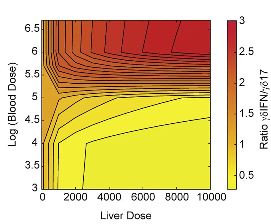 Open access visualization of Heatmap, T Cells, Cell Ratio, Parameter Space, Cell Density