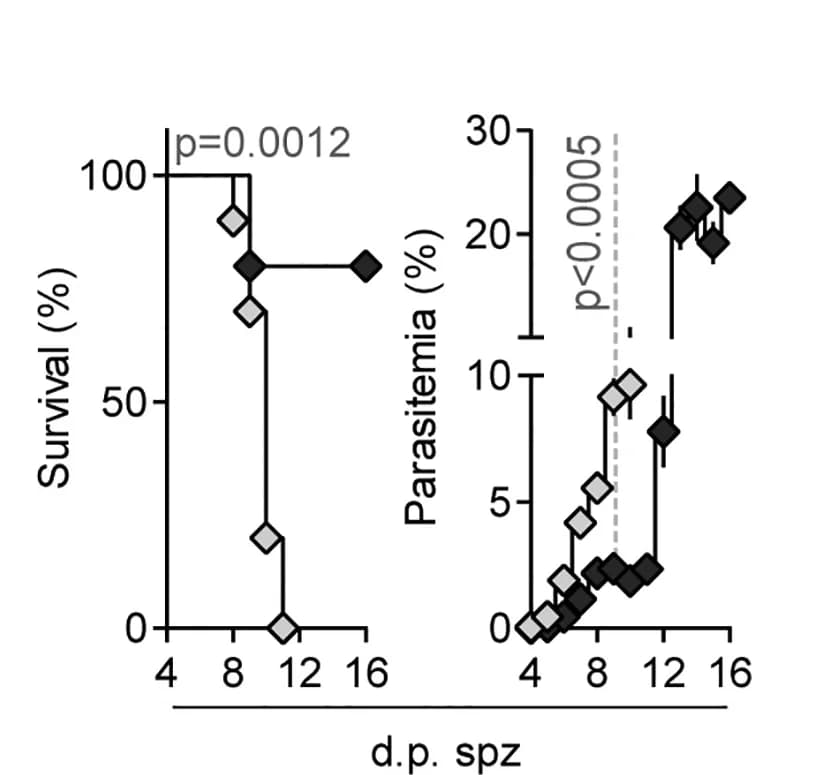 Open access visualization of Line Plot, Survival Curve, Scatter Plot, Error Bars, Survival Rate