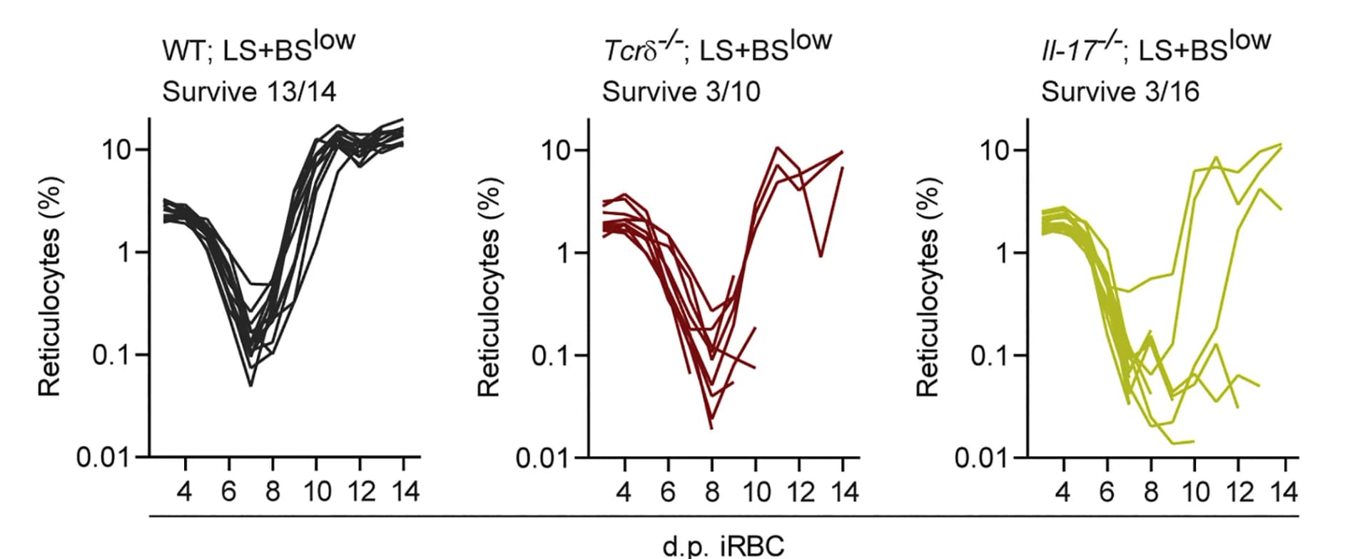 Open access visualization of Line Plot, Relative Abundance, Reticulocytes, Peripheral Blood, WT Mice