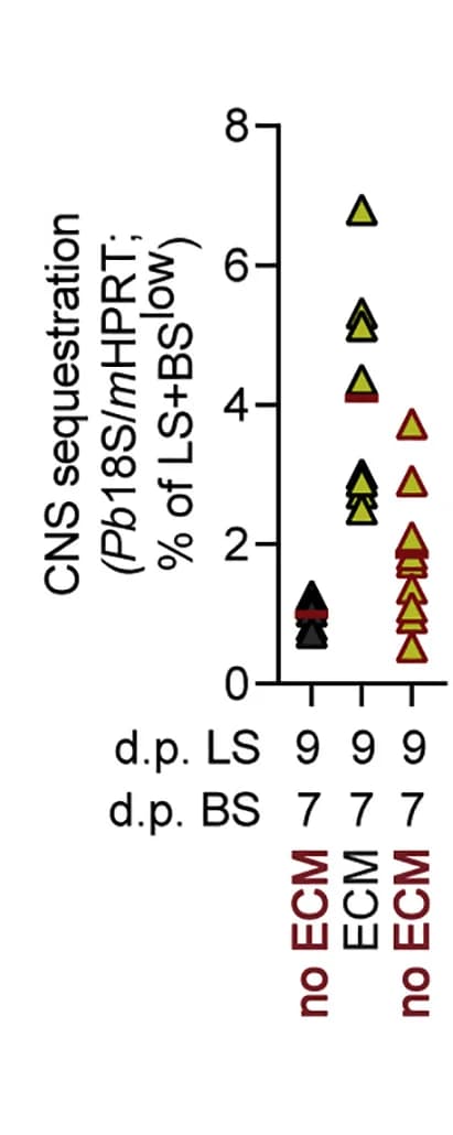 Open access visualization of Scatter Plot, Parasite Accumulation, CNS Sequestration, LS + BSlowinfection, PbANKA18 sribosomal RNA