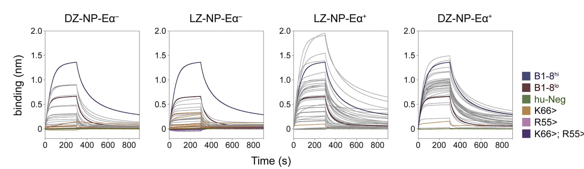 Open access visualization of Line Plot, BLI Traces, Fabs, LZ-NP-Eα+, DZ-NP-Eα-