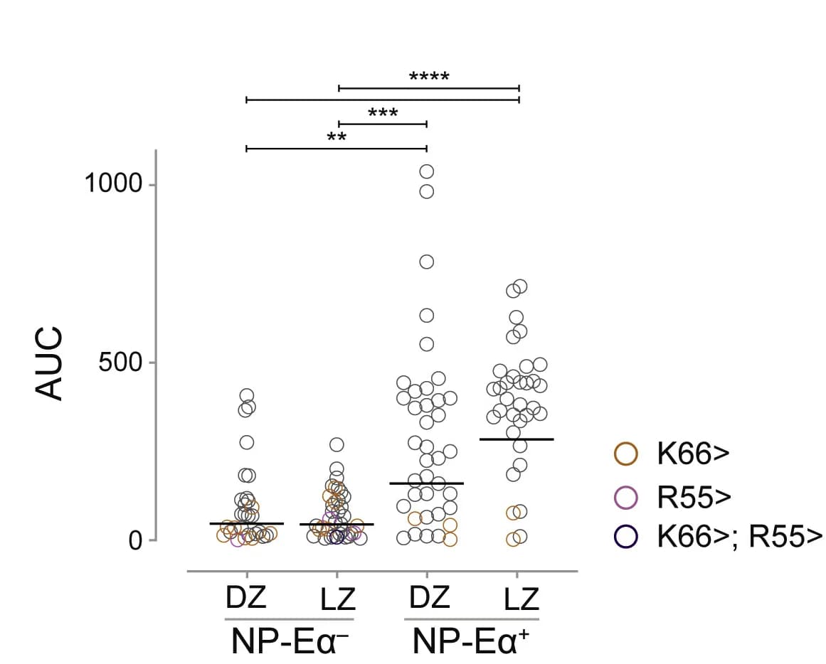 Open access visualization of Scatter Plot, Area Under the Curve, AUC, BLI Traces, Statistical Analysis