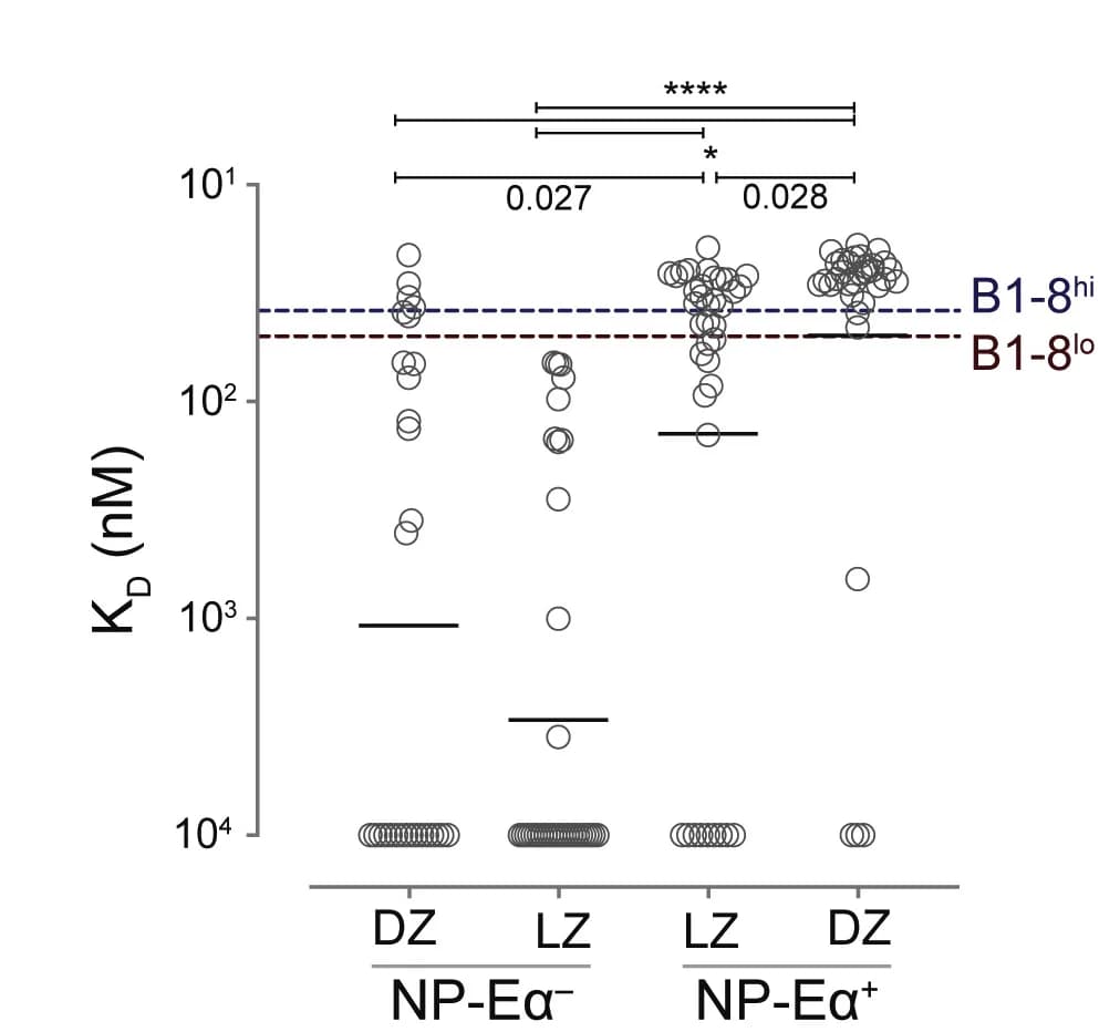 Open access visualization of Scatter Plot, KD Measurements, Fabs, LZ-NP-Eα+, DZ-NP-Eα-